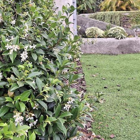 Moradia Stephanie Funchal  Buitenkant foto